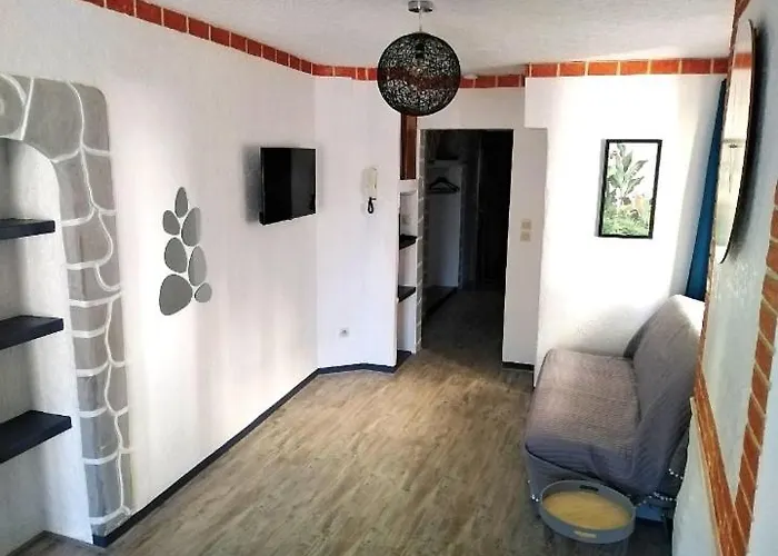 Appartement T2 Quartier Chateau De Pau